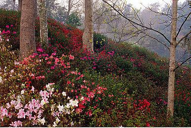 光荣《刀剑乱舞无双》更新 内番风装束第三弹登场